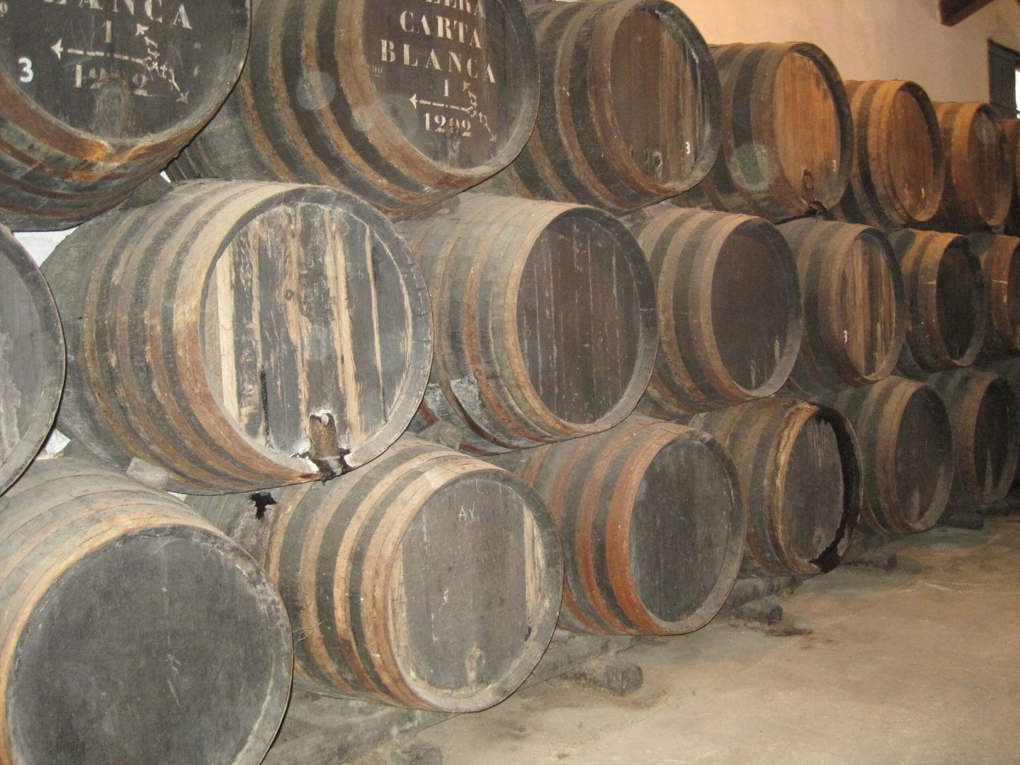 Studietur Sevilla vingård